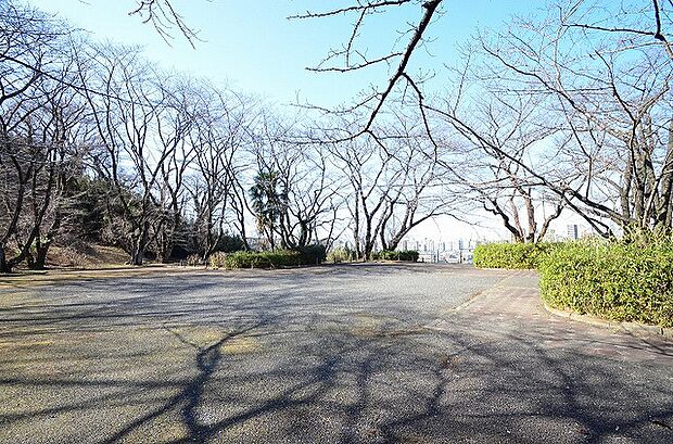 いろは坂桜公園　距離約650m