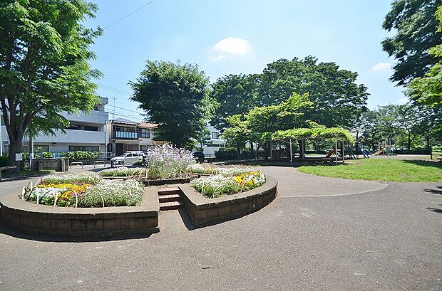 忠生公園　距離約550m