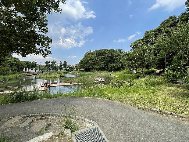 もえぎ野公園 距離約550m