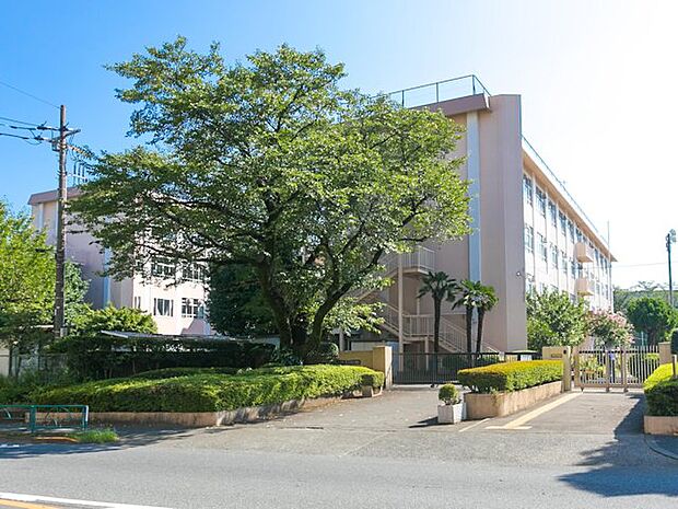 八王子市立東浅川小学校まで約980m