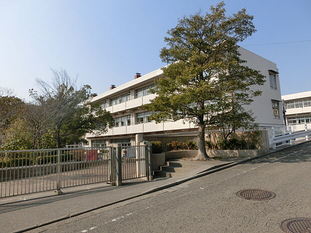 横浜市立新石川小学校　距離約700m