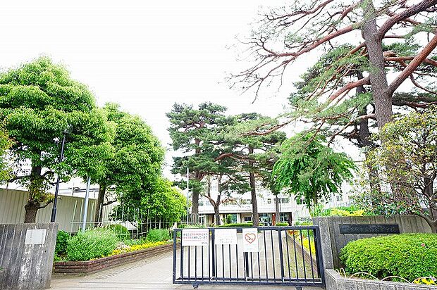 相模原市立弥栄中学校 距離約350m