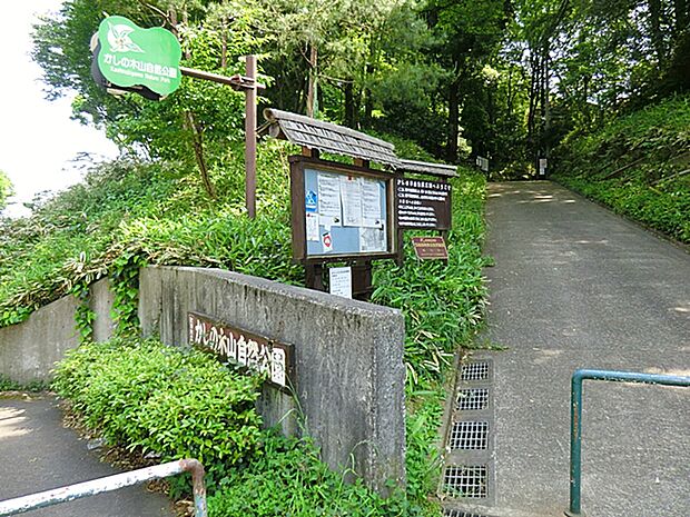 かしの木山自然公園　距離約250m