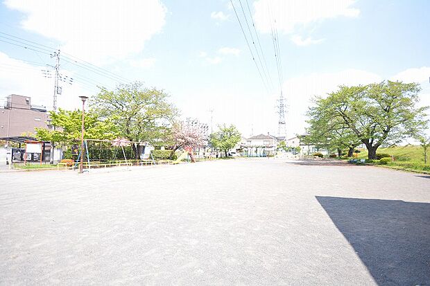 暁公園　距離約800m