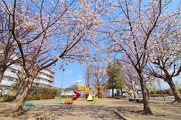 谷口南台公園　距離約400m