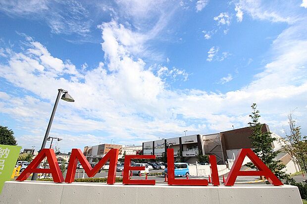 アメリア町田根岸ショッピングセンター　距離約2000m