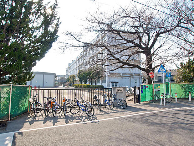 大和市立緑野小学校　距離約700m