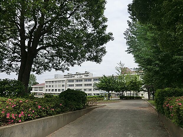 多摩市立永山小学校 距離約1000m