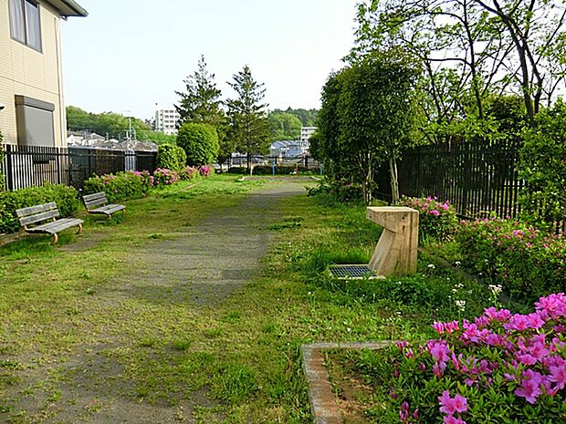 金井下木倉公園　距離約240m