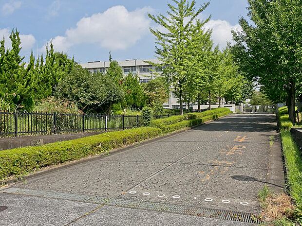 多摩市立青陵中学校まで約800m