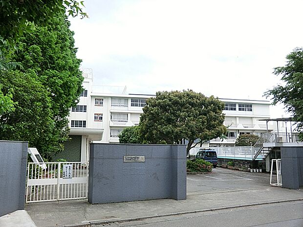 府中市立四谷小学校 距離約350m