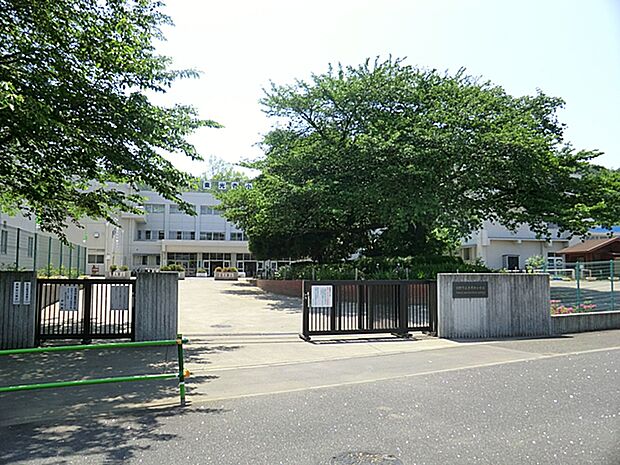 日野市立東光寺小学校 距離約180m