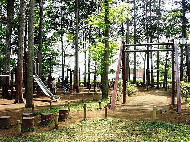 宇都宮記念公園みどりの森 距離約150m