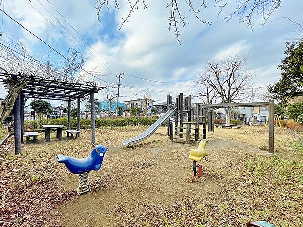 座間南公園　距離約1100m