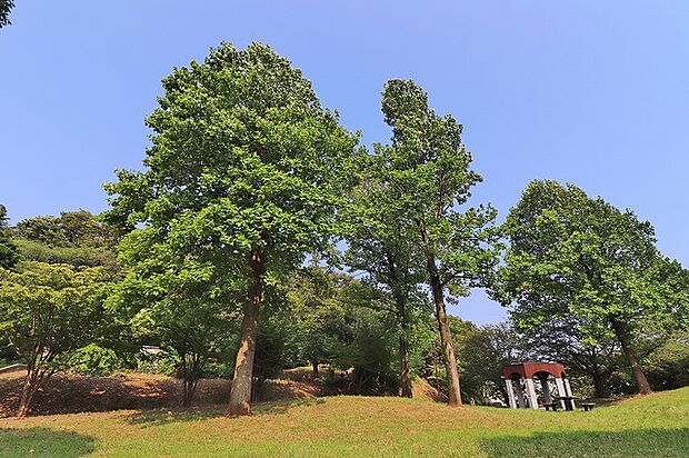 市ケ尾町公園 距離約400m