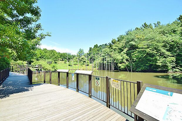 小山内裏公園 距離約1000m