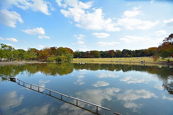 多摩中央公園　距離約750m