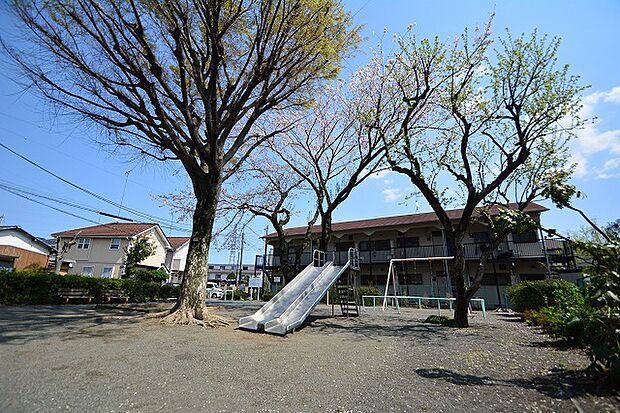 柿の木公園まで約950m