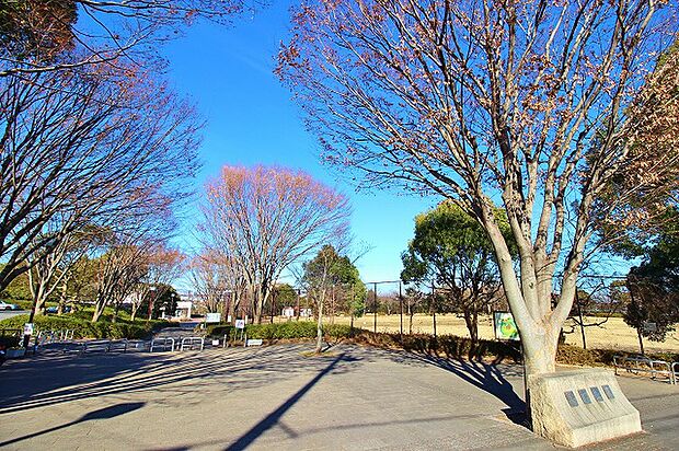 今川公園まで約1000m