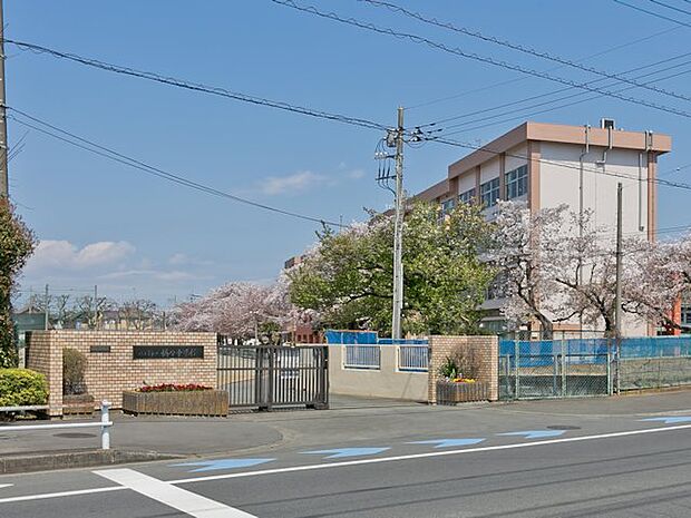 八王子市立楢原中学校まで約1120m