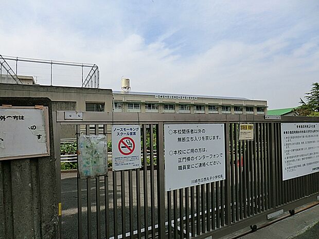 川崎市立西丸子小学校 距離約400m