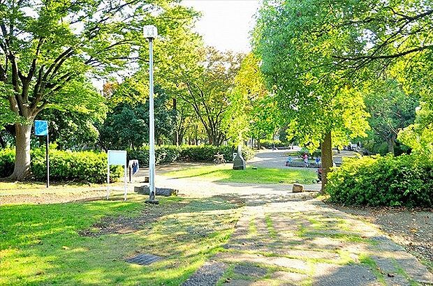等々力緑地 距離約600m