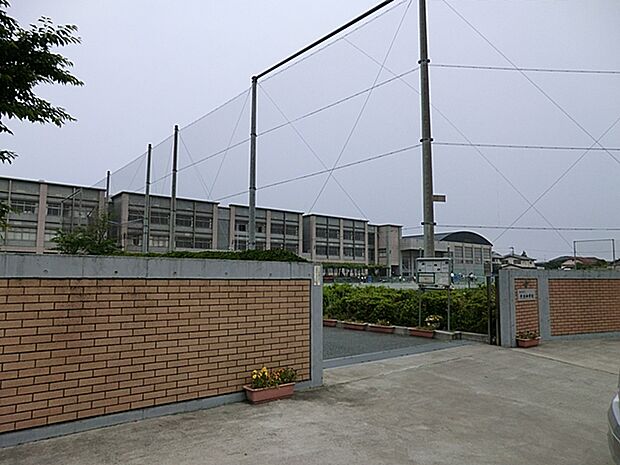 藤沢市立片瀬中学校 距離約550m