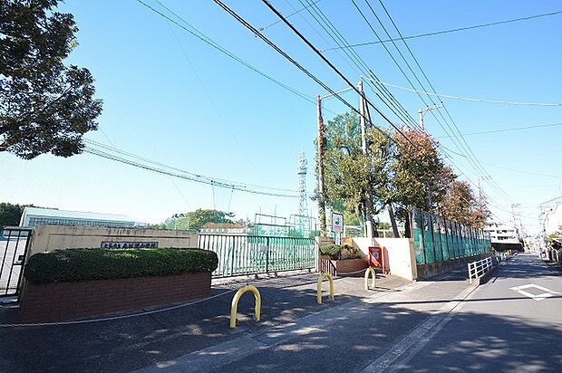 大和市立南林間中学校 距離約1100m