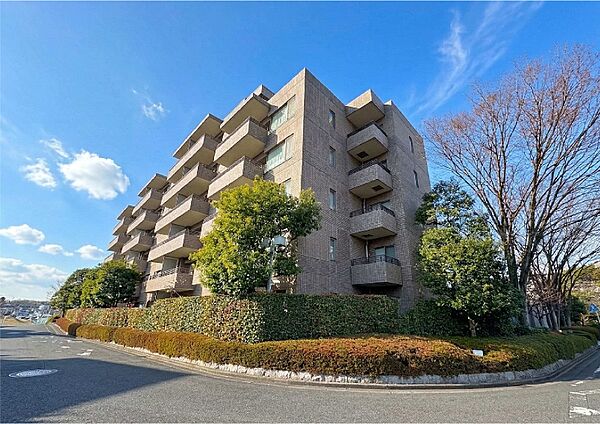 外観：314002676647