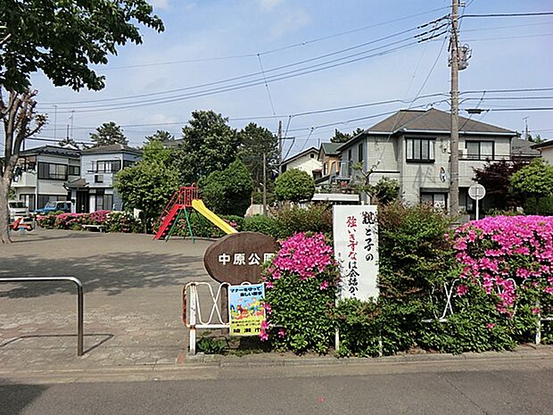中原公園 距離約1400m