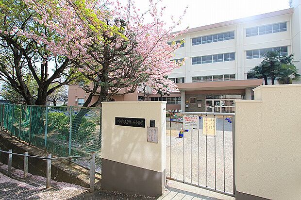川崎市立千代ヶ丘小学校 距離約800m