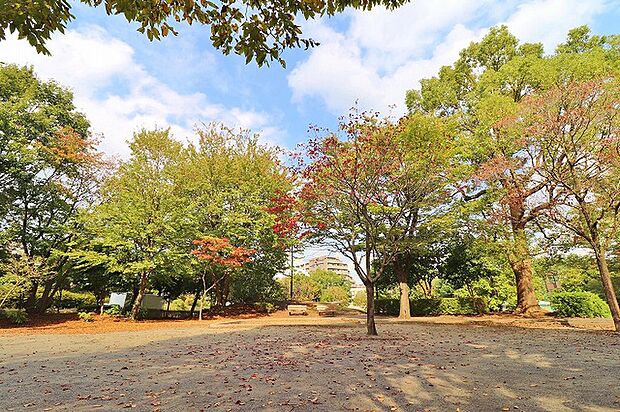 鶴ヶ峰公園　距離約1200m