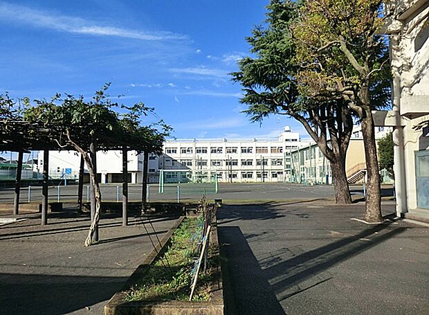 横浜市立南瀬谷小学校　距離約350m