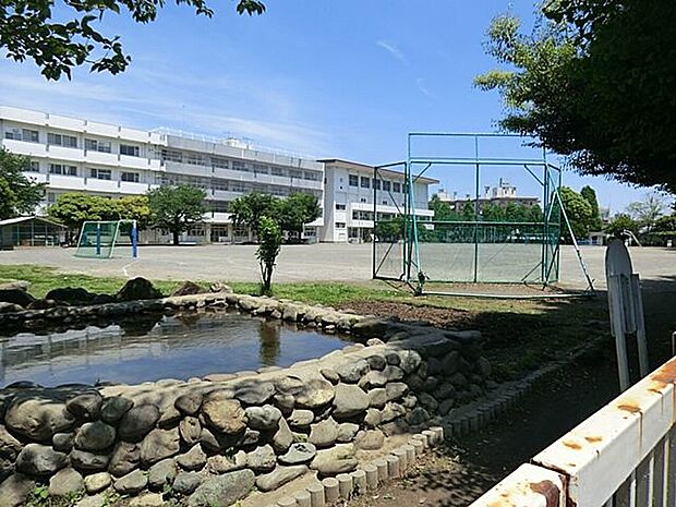 府中市立矢崎小学校 距離約600m