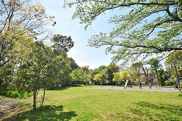 みんなの丘公園　距離約600m