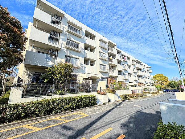 外観：313004694229