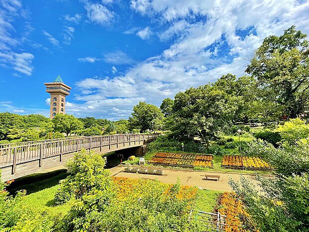 相模原麻溝公園まで約650m