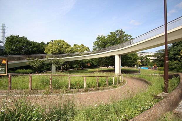 白根公園　距離約1500m