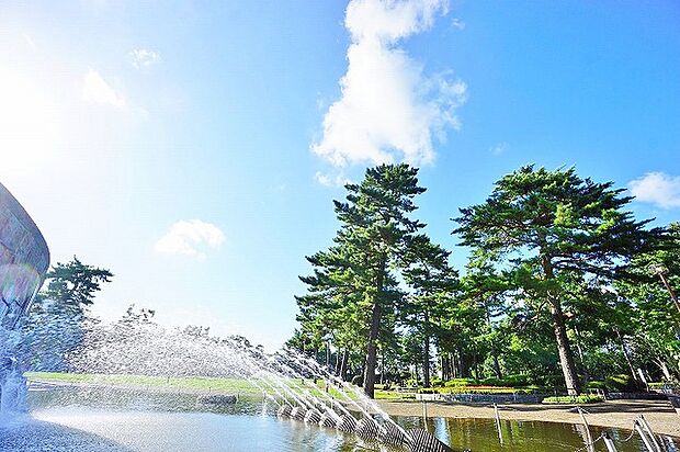 相模大野中央公園まで約800m