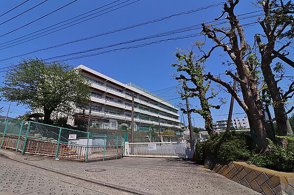 横浜市立善部小学校まで約350m