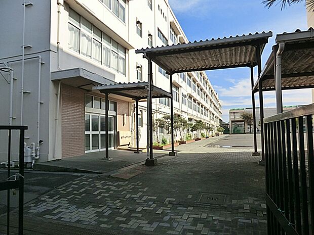 横浜市立新田中学校　距離約500m