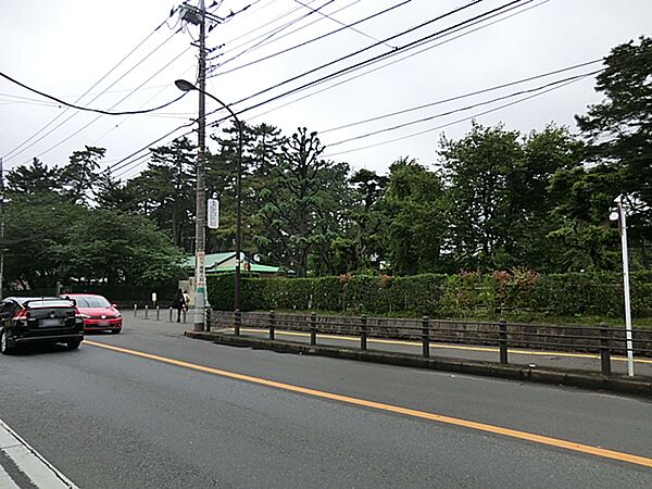 相模女子大学幼稚部まで約250m