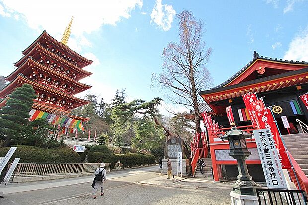 高幡山明王院金剛寺 距離約2000m