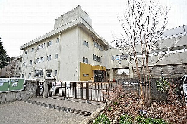 相模原市立共和中学校 距離約1200m