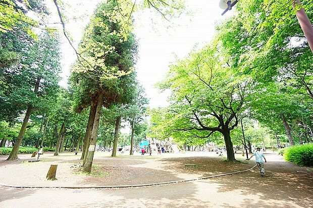 淵野辺公園 距離約1300m