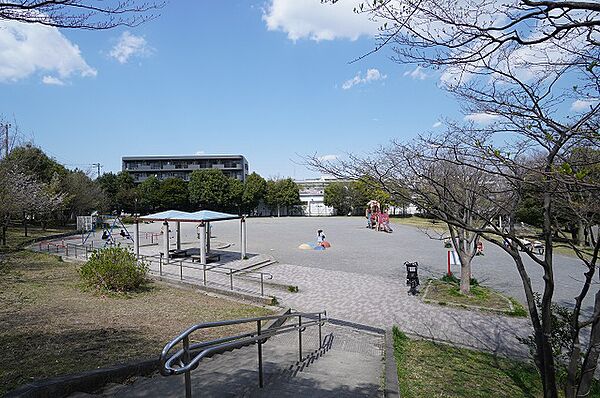 保木公園　距離約60m