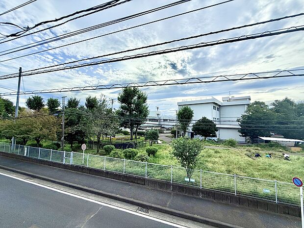 道路沿いから見た緑地と水辺の風景