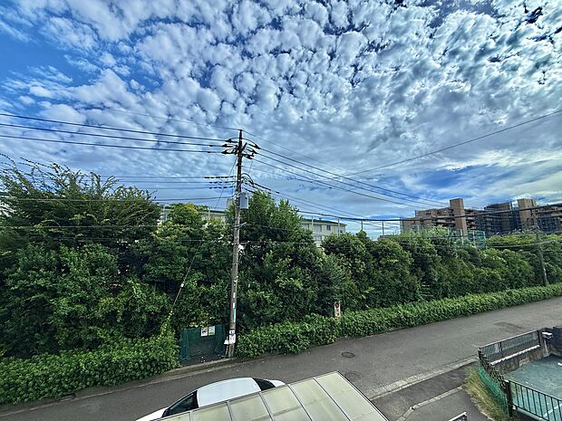 緑地と道路を望む周辺環境