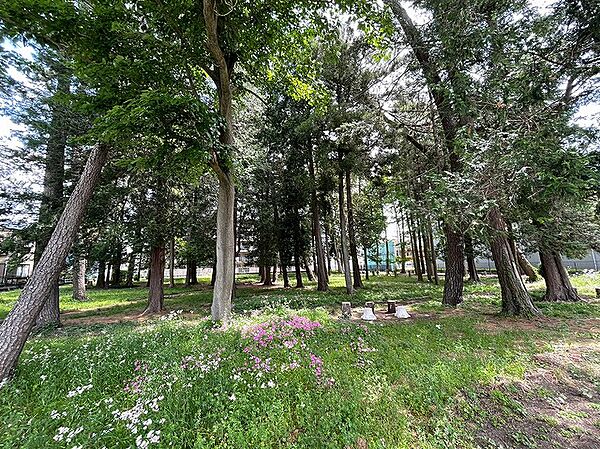 大野台2丁目市民緑地　距離約220m