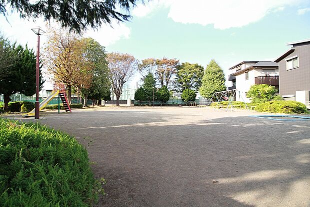 上溝中央公園まで約650m